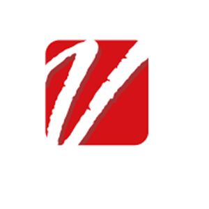 Logo de la station de radio Version FM