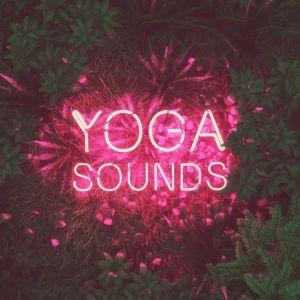 Logotipo de la emisora ​​de radio FluxFM Yoga Sounds