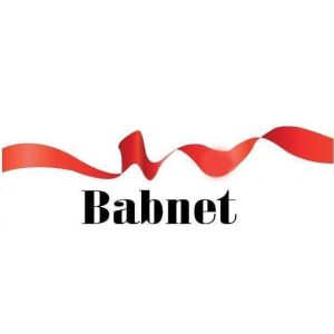 Logo of radio station Babnet Tunisie