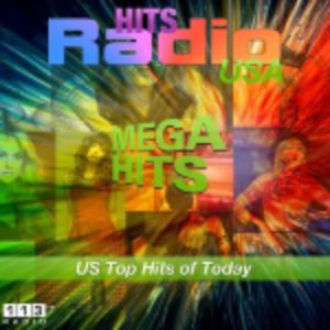 Logo of radio station 113.FM Hits USA