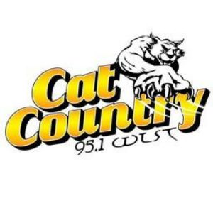 Logotipo de la emisora ​​de radio WLST Cat Country 95.1 FM