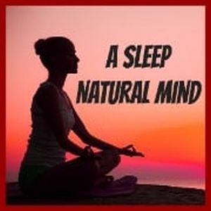 Logotipo de la emisora ​​de radio A SLEEP NATURAL MIND