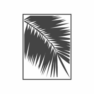 Logotipo de la emisora ​​de radio Palmera Blanca