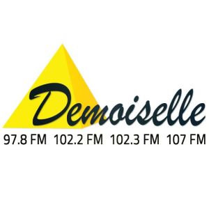 Logo de la station de radio Demoiselle FM