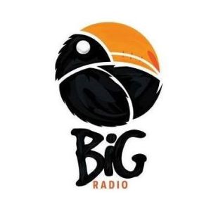 Logo of radio station BiG 1 Radio